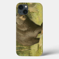 Black Bear Stepping on a Tree Trunk