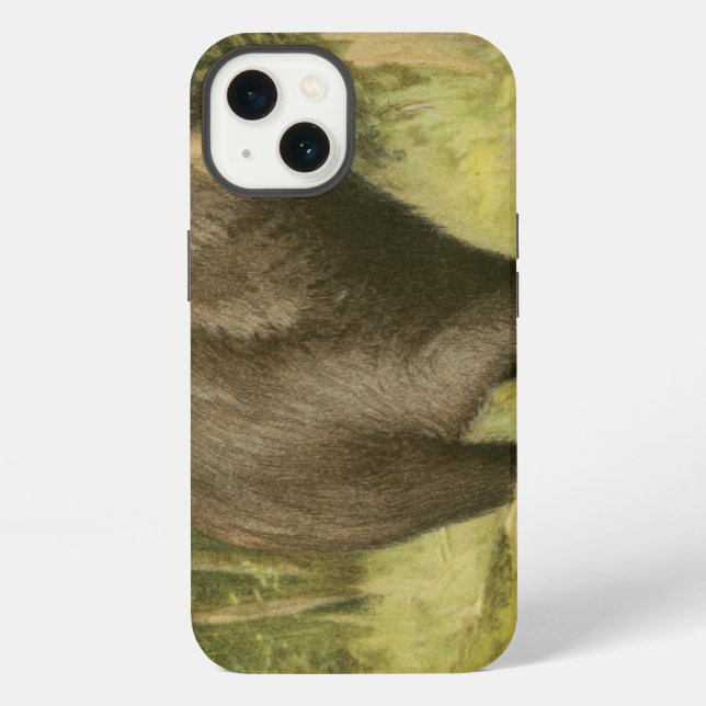 Black Bear Stepping on a Tree Trunk iPhone Case (Back)