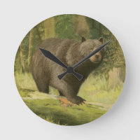 Black Bear Stepping on a Tree Trunk