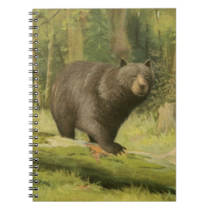 Black Bear Stepping on a Tree Trunk Spiral Notebook