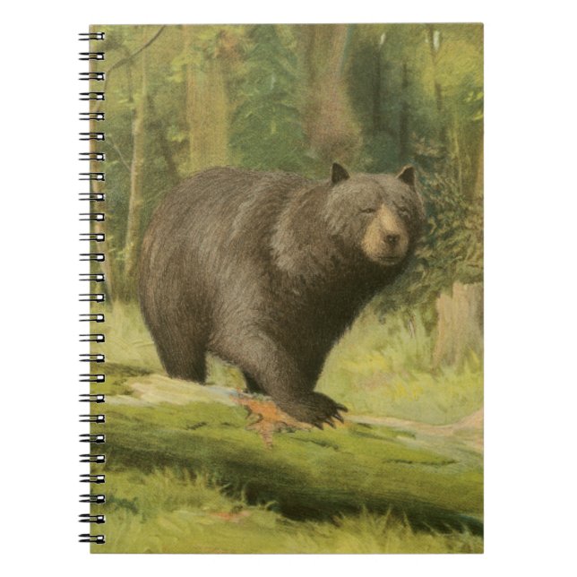 Black Bear Stepping on a Tree Trunk Spiral Notebook (Front)