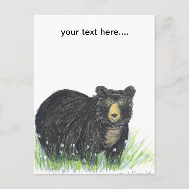 Black bear teddy bear postcard (Front)