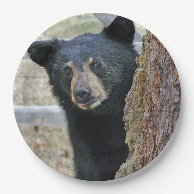 Black Bear Tree Photo Paper Plate (Front)