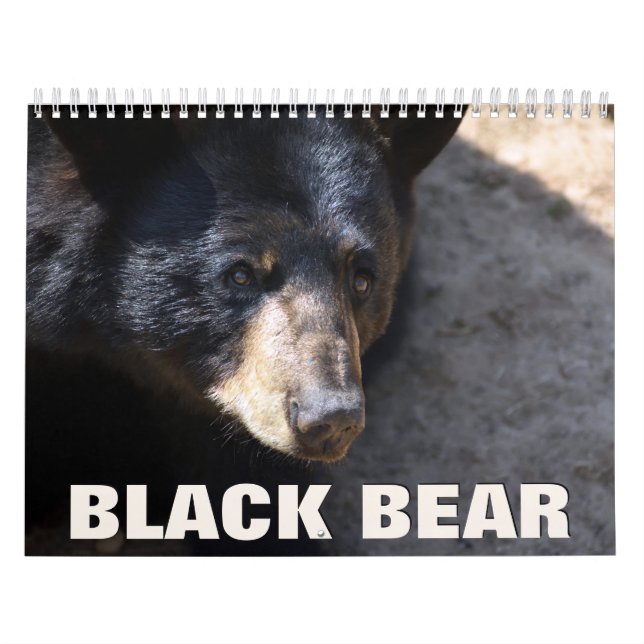 Black Bear Wall Calendar (Cover)