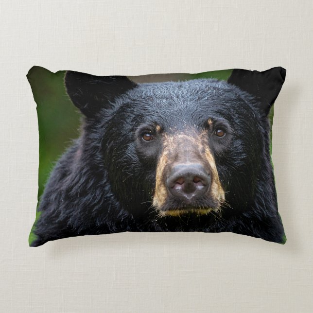 Black Bear Wild Nature Design Decorative Cushion (Front)