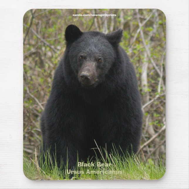 Black Bear Wildlife Supporter Mousepad (Front)