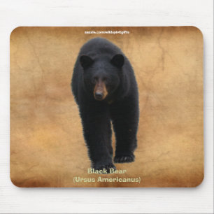Black Bear  Wildlife Supporter Mousepad