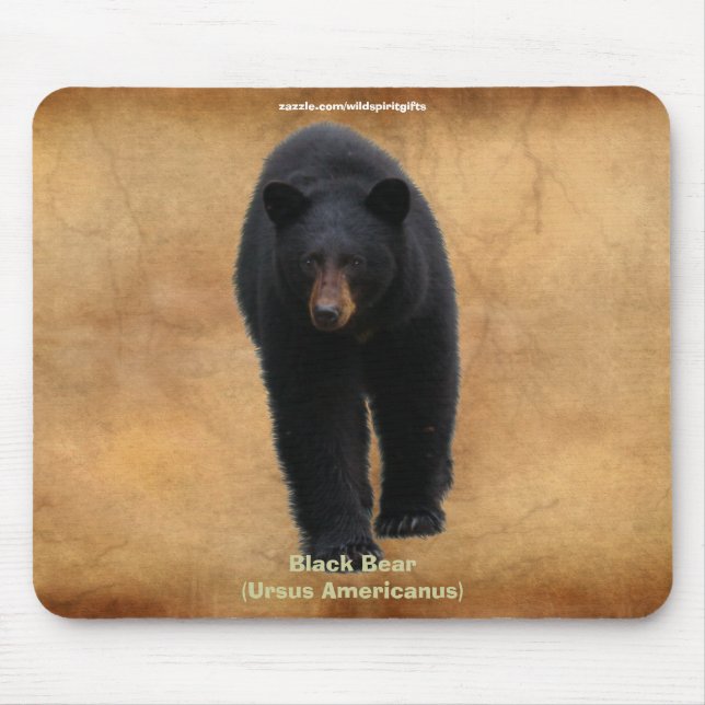 Black Bear  Wildlife Supporter Mousepad (Front)