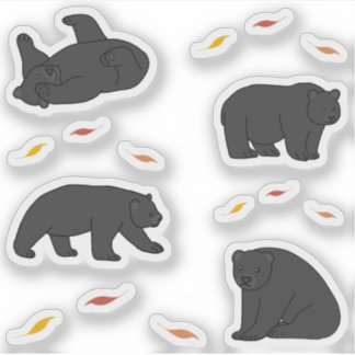 Black Bears