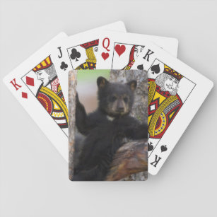Black Bears Cub Lounging Playing Cards