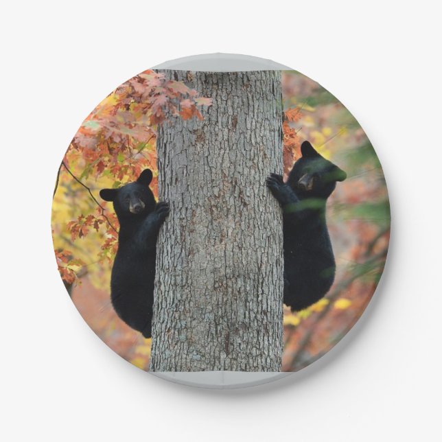 Black Bears plates (Front)