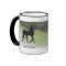 "Black Beauty"  Alberta Wild Horse 2