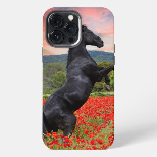 Black Beauty and Poppy Field Case-Mate iPhone Case
