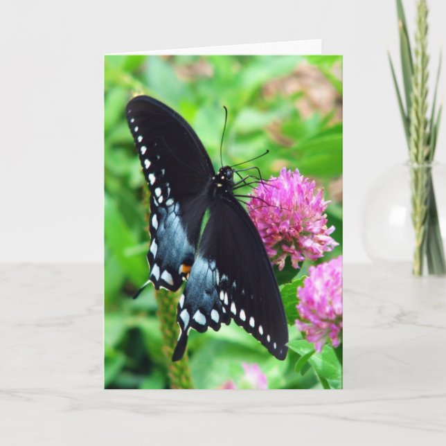 Black Beauty Butterfly Greeting Card (Front)