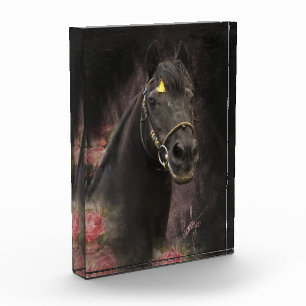 Black Beauty Friesian Horse - Photo Block
