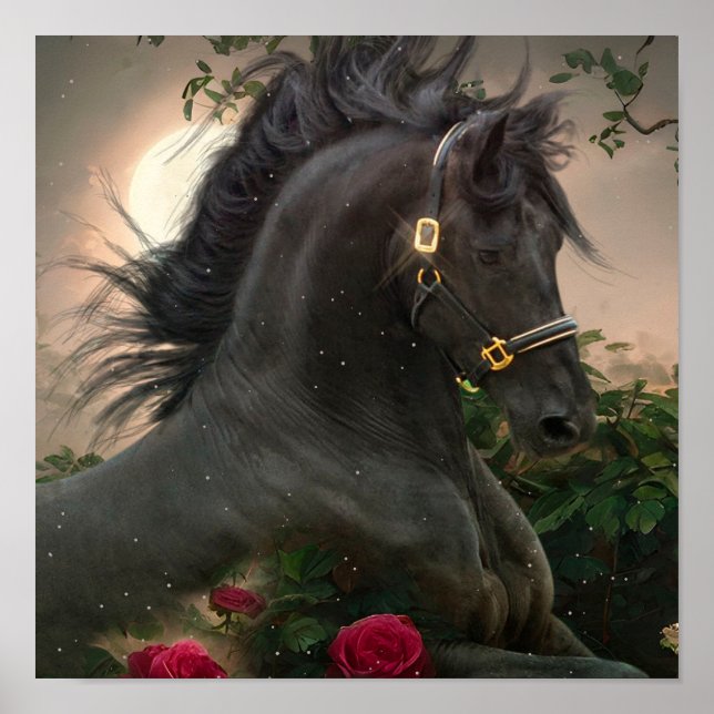 Black Beauty Friesian Horse - Poster (Front)