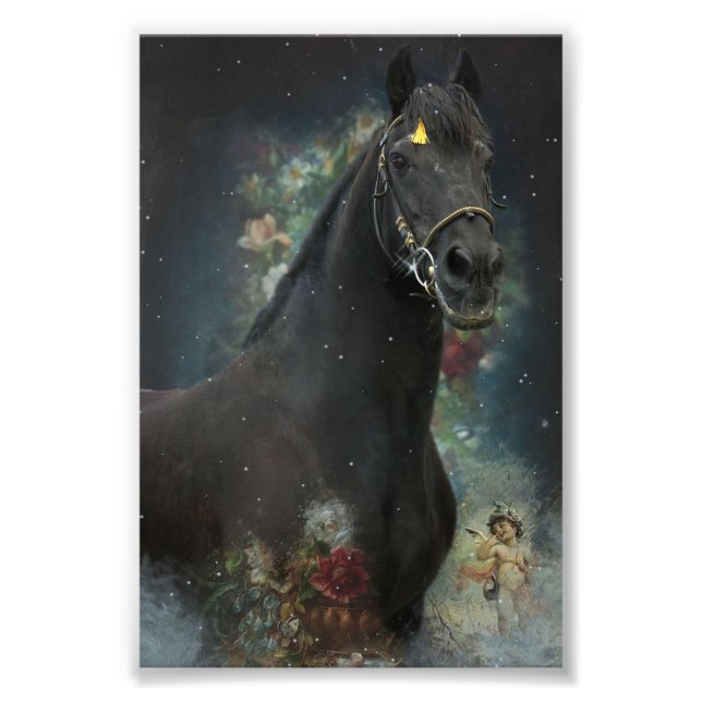 Black Beauty Friesian Horse - Poster (Front)