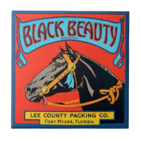 Black Beauty Horse on Red Background