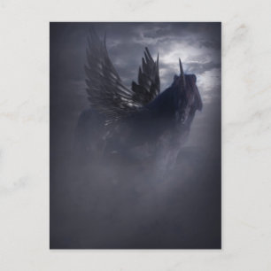 Black Beauty Postcard