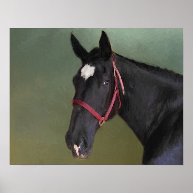 Black Beauty Poster (Front)