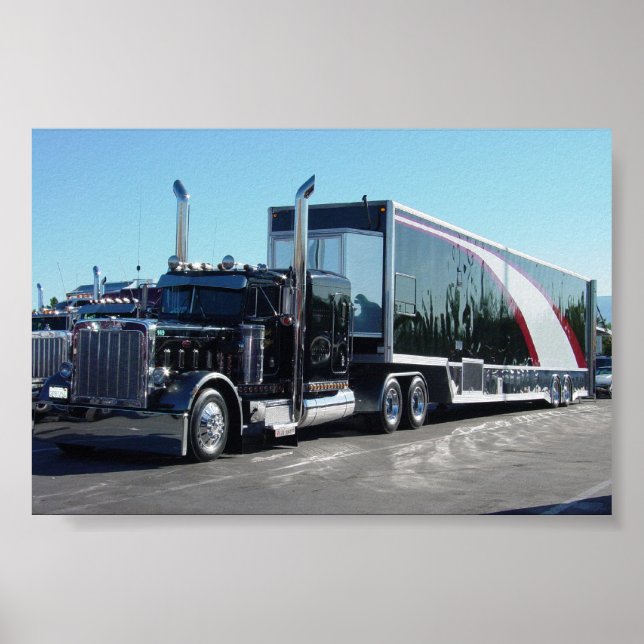 Black Beauty Poster (Front)