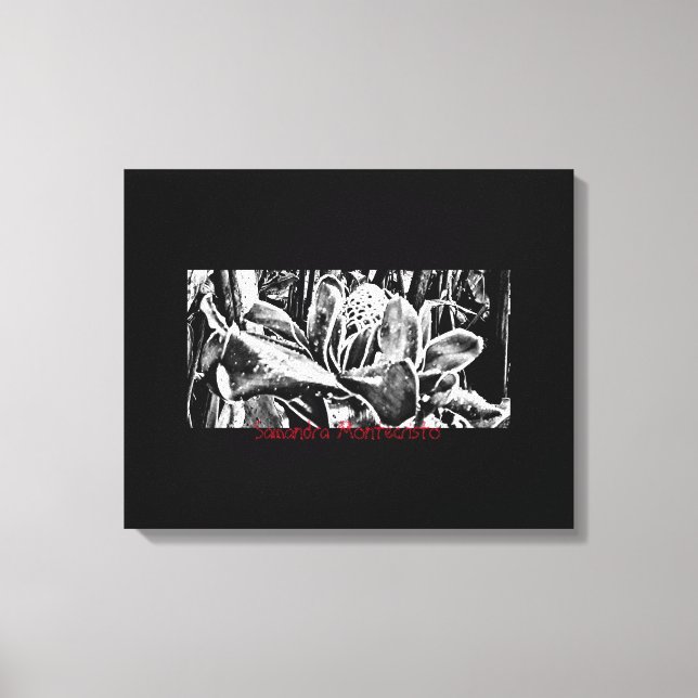 Black Beauty Under Rain Stretched Canvas Print (Front)