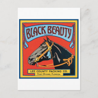 Black Beauty Vintage Crate Label - Horse Postcard
