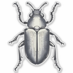 Black Beetle Sticker