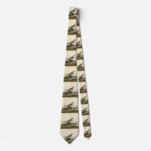 Black-bellied Plover - Audubon's Birds of America Tie