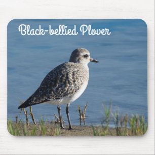 Black Bellied Plover Mouse Pad