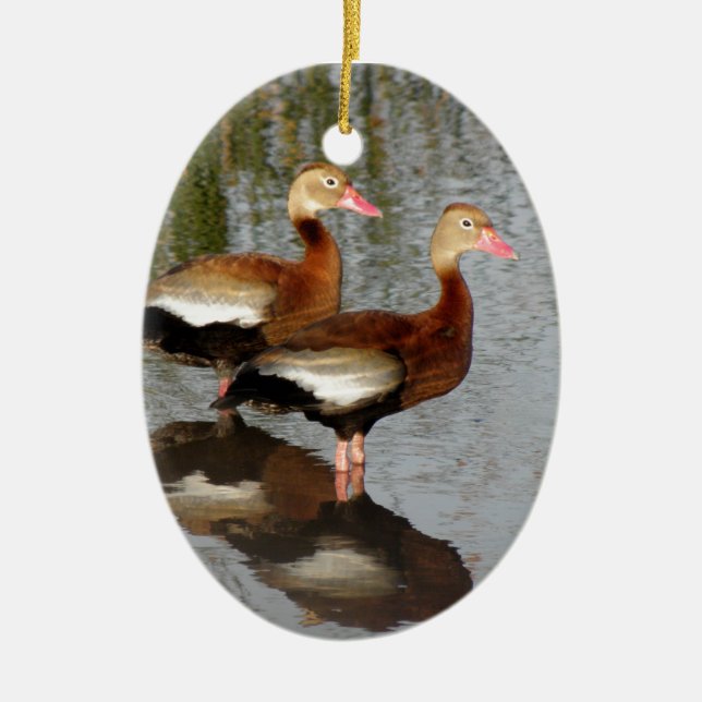 Black-bellied Whistling Duck Ceramic Tree Decoration (Front)