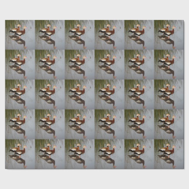 Black-bellied Whistling Duck Wrapping Paper (Seam)