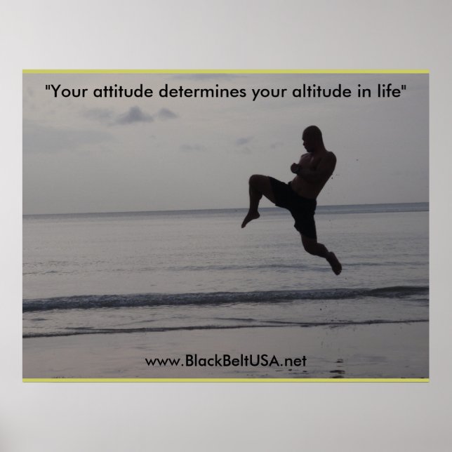 Black Belt USA Poster1 Poster (Front)