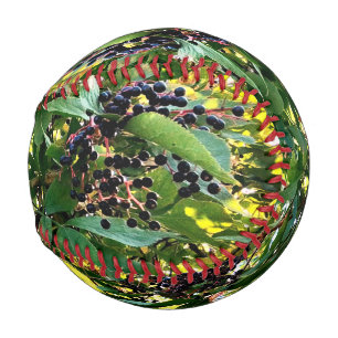 Black berries baseball