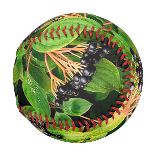 Black berries baseball