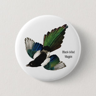 Black-billed Magpie, Audubon, American Birder, 6 Cm Round Badge