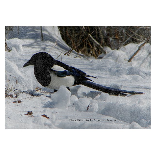 Black Billed Rocky Mountain Magpie cutting board (Front)
