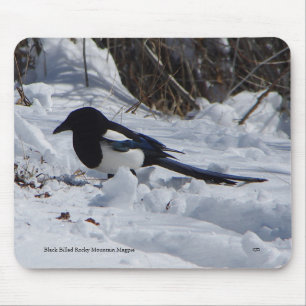 Black Billed Rocky Mountain Magpie mousepad