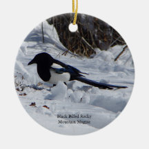 Black Billed Rocky Mountain Magpie ornament
