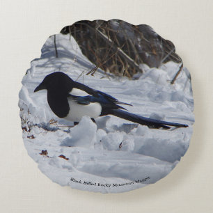 Black Billed Rocky Mountain Magpie round pillow