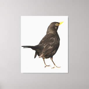 Black Bird Isolated On White Acrylic Painting Canvas Print