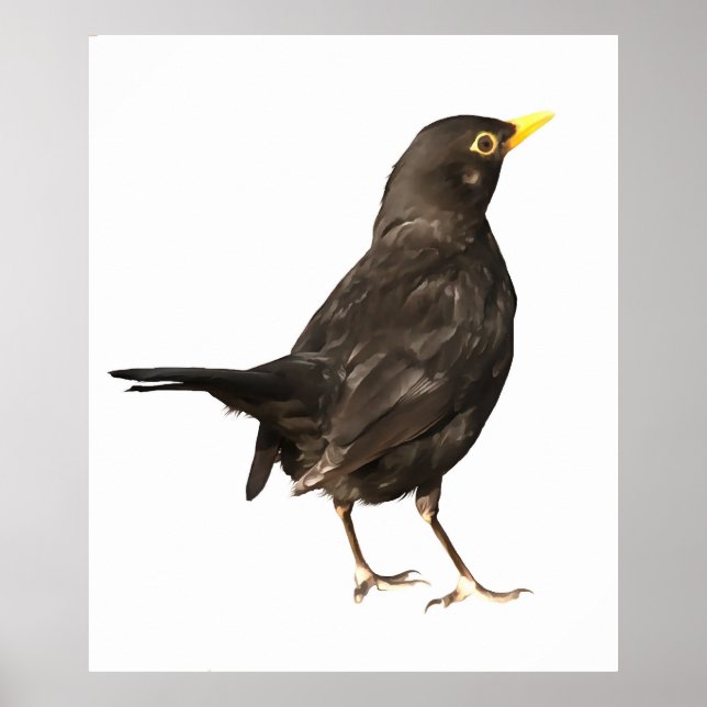 Black Bird Isolated On White Acrylic Painting Poster (Front)