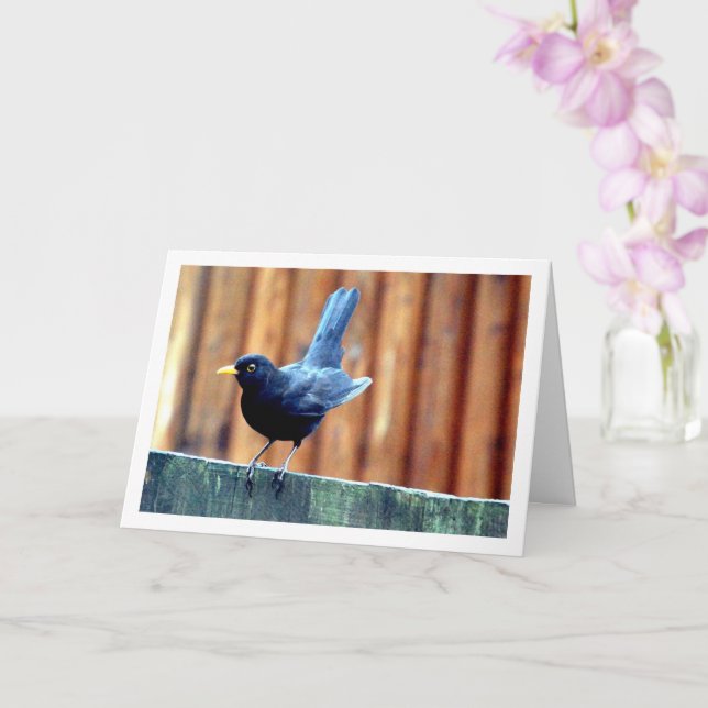 Black Bird On Fence Card (Orchid)