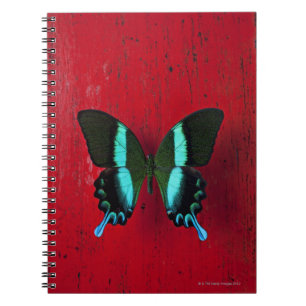 Black & Blue Butterfly Spiral Notebook
