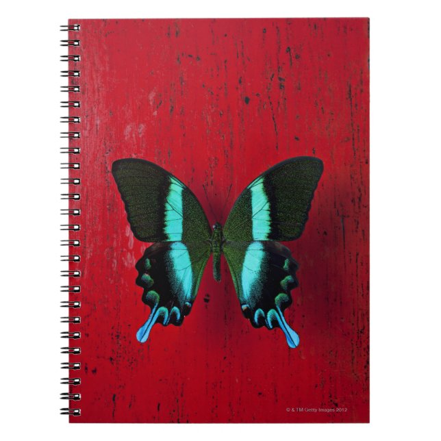 Black & Blue Butterfly Spiral Notebook (Front)