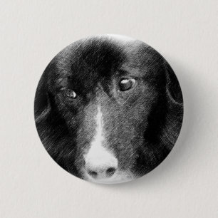 Black Border Collie Animal Art Button