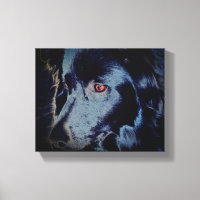 Black Border Collie Dog Face
