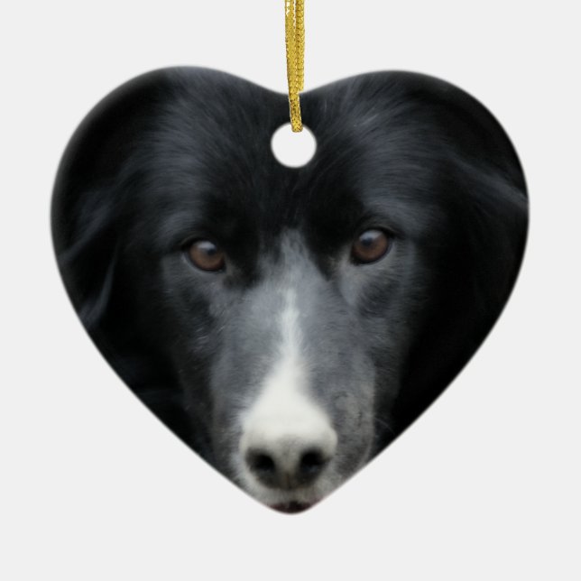 Black Border Collie Face Dog Ornament (Front)
