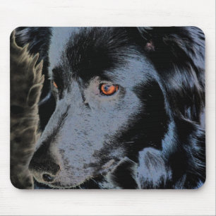 Black Border Collie Face Mousepad