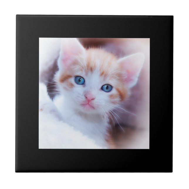 Black Border Photo Tile (Front)